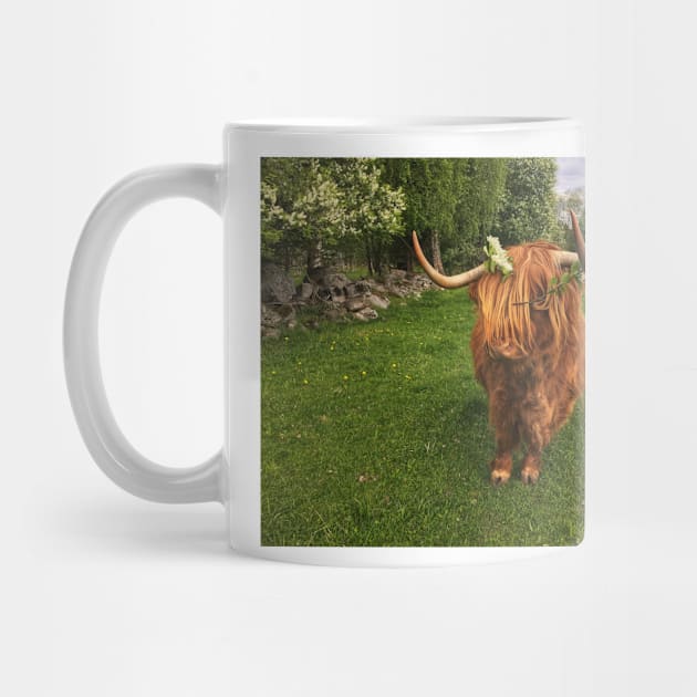 Scottish Highland Cattle Cow with flowers 2401 by SaarelaHighland